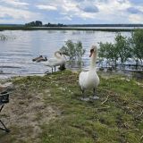 Гостевой двор Хутор Скреблово, фото гостя