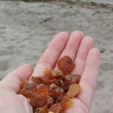 Гостевой дом Арт-деревня Витланд, фото гостя