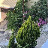 Гостевой дом Натали, фото гостя