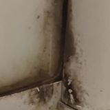 Парк-Отель Ая, фото гостя