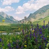 Республика Северная Осетия-Алания, фото отдыхающего в июле