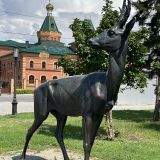 Омск, фото отдыхающего в июле