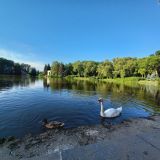 Финский залив, фото отдыхающего в июле