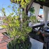 Гостевой дом Анна, фото гостя