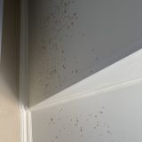 Апарт-отель Шерстон, фото гостя