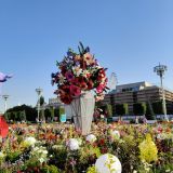 Центральная Россия, фото отдыхающего в июле