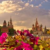 Центральная Россия, фото отдыхающего в июле