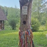 Парк-Отель Берендеевка, фото гостя