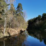 Отель Черничный берег, фото гостя