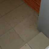 Гостиница Каисса, фото гостя