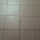 Гостиница Каисса, фото гостя