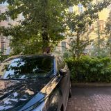 Меблированные комнаты На Конюшенной, фото гостя