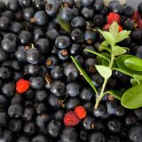 Гостевой дом На Чеснаве, фото гостя