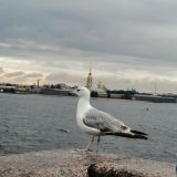 Мини-отель НУАР, фото гостя