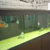 Хостел ALFA BEST HOUSE, фото гостя