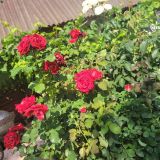 Гостиница Ла Мезон, фото гостя