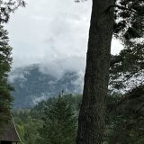 Отель Гладенькая, фото гостя