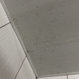 Бутик-Отель Ларионов, фото гостя