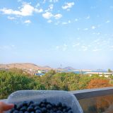 Туристско-оздоровительный комплекс Приморье, фото гостя