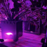 Гостиница Шервуд, фото гостя