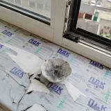 Апартаменты MaxRealty24 Химки ул. Молодежная 7к1, фото гостя