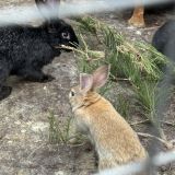Отель Николаевский посад, фото гостя