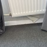 Отель Ава Салют SyncotelHome на Пулковском шоссе, фото гостя