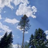 Горнолыжные курорты России, фото отдыхающего в июле