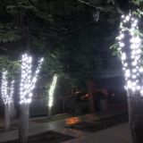 Гостиница Каштан, фото гостя