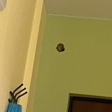 Апарт-отель Золотой Клевер на Горького, фото гостя