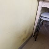 Апарт-отель Золотой Клевер на Горького, фото гостя