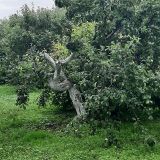 Суздаль, фото отдыхающего в июле