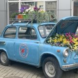 Южно-Сахалинск, фото отдыхающего в июле