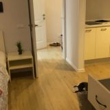 Клубный комплекс Морской, фото гостя