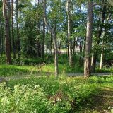 База отдыха Ладога-озеро, фото гостя