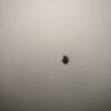 Отель Samsonov Hotel on Stachek18, фото гостя