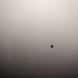 Отель Samsonov Hotel on Stachek18, фото гостя