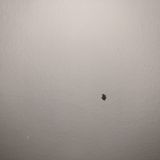 Отель Samsonov Hotel on Stachek18, фото гостя