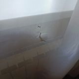 Отель Golden Hotel, фото гостя