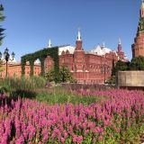 Центральная Россия, фото отдыхающего в июле