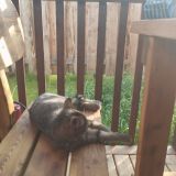 Павловск, фото отдыхающего в июле