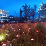 Центральная Россия, фото отдыхающего в июле