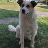 Гостевой дом Алтайские дачи, фото гостя