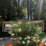 Кубань, фото отдыхающего в июле