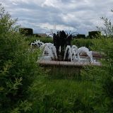 Санкт-Петербург, фото отдыхающего в июле