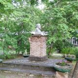 Рязанская область, фото отдыхающего в июле