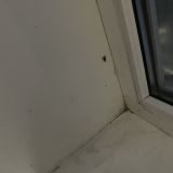 Отель Изумруд, фото гостя