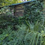 Отель Муссон, фото гостя