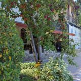 Отель Муссон, фото гостя