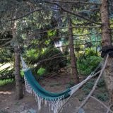 Отель Муссон, фото гостя